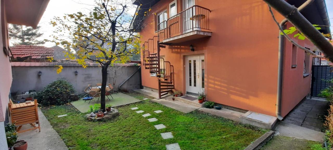 Apartman Carpe Diem 2 Zajecar Ngoại thất bức ảnh